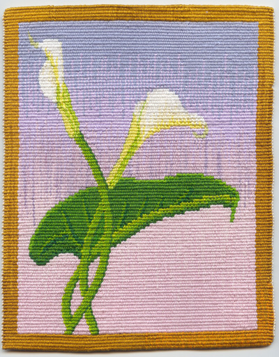 150 chilli lily